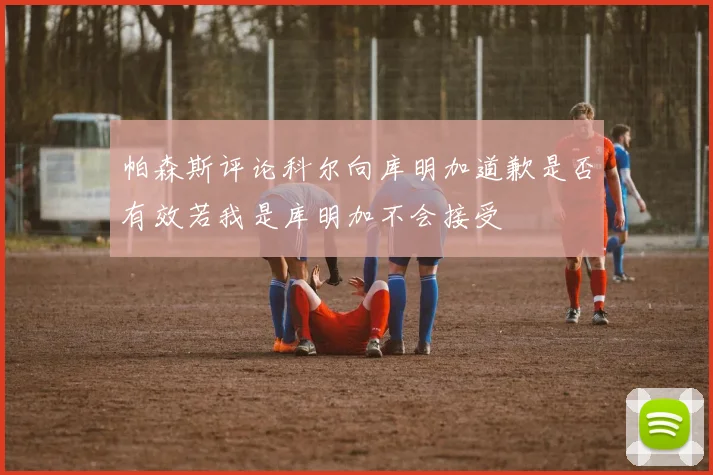 帕森斯评论科尔向库明加道歉是否有效若我是库明加不会接受