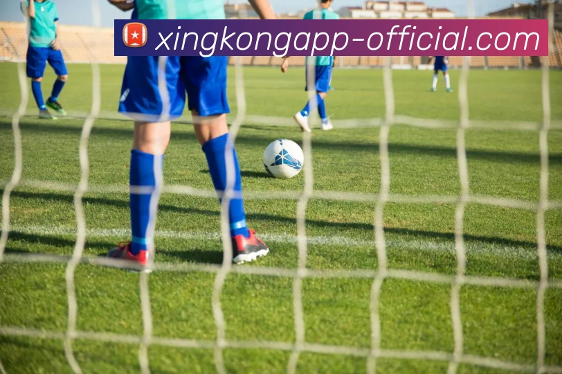 星空体育APP 封面图